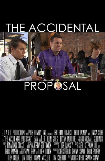 The Accidental Proposal (2013)
